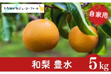 和梨 豊水 自家用 約5kg 新潟県 三条市産 梨 [しなのがわジューシーファーム]【010S481】