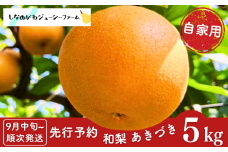 先行予約 和梨 あきづき 自家用 約5kg [9月中旬から発送予定] 新潟県 三条市産 梨 [しなのがわジューシーファーム]【010S488】
