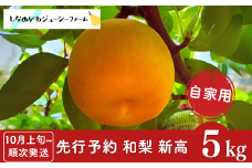 先行予約 和梨 新高 自家用 約5kg [10月上旬から発送予定] 新潟県 三条市産 梨 [しなのがわジューシーファーム]【010S491】