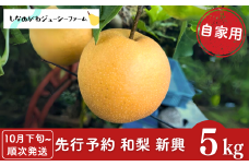 先行予約 和梨 新興 自家用 約5kg [10月下旬から発送予定] 新潟県 三条市産 梨 [しなのがわジューシーファーム]【010S494】