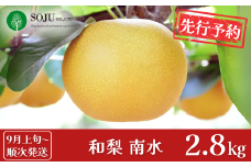 先行予約 和梨 南水 約2.8kg [9月上旬から発送予定] 令和7年度 樹上完熟日本梨 新潟県 三条市産 [三条果樹専門家集団]【010S497】