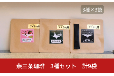 燕三条珈琲 3種セット 計9袋 エチオピア産ゲイシャ種 鉄入珈琲 苺珈琲 ドリップバッグ 珈琲 コーヒー 飲み比べ  [株式会社プラスワイズ]【013S097】