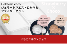 ジェラートマエストロが作るファミリーセット 1L×2 合計2L[いちごミルク・チョコ] ジェラート アイス 大容量 ファミリーパック 添加物不使用  [Gelateria coco]【017S103】