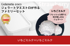 ジェラートマエストロが作るファミリーセット 1L×2 合計2L[いちごミルク×2] ジェラート アイス 大容量 ファミリーパック 添加物不使用  [Gelateria coco]【017S108】