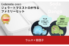 ジェラートマエストロが作るファミリーセット 1L×2 合計2L[ラムネ・笹団子] ジェラート アイス 大容量 ファミリーパック 添加物不使用  [Gelateria coco]【017S112】