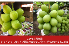 シャインマスカット 小房詰め合わせパック 約600g×3 約1.8kg  [2025年発送分] 令和７年産 シャインマスカット 新潟 三条 燕三条 果物 [こひなた果樹園] 【024S045】