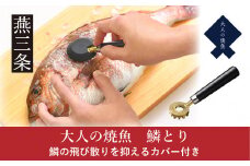 [大人の焼魚] 鱗とり 飛び散らない カバー付 うろこ取り 調理器具 キッチン用品 燕三条製 【011S238】