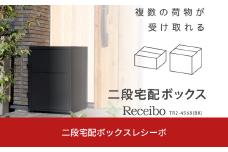 二段宅配ボックスレシーボ 約45.2×45.4×68cm 屋外 レシーボ TR2-4568(BK) 保管庫 ブラック 黒 2段宅配ボックス 鍵付き 防犯対策 [グリーンライフ] 【100S006】