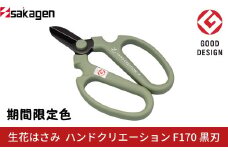 期間限定 生花はさみ ハンドクリエーションF170 黒刃 アーモンドグリーン 期間限定色 冬季限定 花ハサミ 園芸ハサミ 生花用 園芸用品 ガーデニング用品 [坂源] 【011S278】