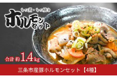 新潟県三条市産豚ホルモンセット もつ煮 ホルモン焼き 三条 下田 【010S707】