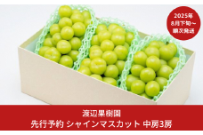先行予約 中房シャインマスカット3房 (約1.6kg) [8月下旬から発送予定] 令和7年度 贈答用 シャインマスカット 新潟県 三条市産 ぶどう [渡辺果樹園] 【026S044】