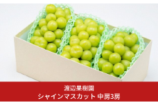 中房シャインマスカット3房 (約1.6kg) 令和7年度 贈答用 シャインマスカット 新潟県 三条市産 ぶどう [渡辺果樹園] 【026S044】