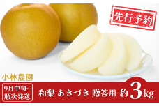 先行予約 和梨 あきづき 約3kg [9月中旬から発送予定] 令和7年度 新潟県三条市産 梨 [小林農園]【010S748】