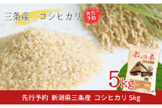 先行予約 新潟県三条産コシヒカリBL  5kg×1袋 令和7年産コシヒカリ 精米 新潟県産コシヒカリ 【016S082】