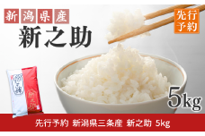 先行予約 新潟県三条産新之助 5kg×1袋 令和7年産新之助 精米 新潟県産新之助 【017S140】