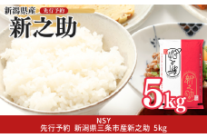 先行予約 新潟県三条産新之助 5kg×1袋 令和7年産新之助 精米 新潟県産新之助 【014S148】