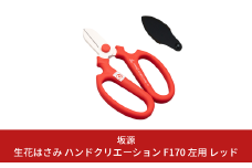 生花はさみ ハンドクリエーションF170左用 レッド 花鋏 花ハサミ 園芸ハサミ 生花用 園芸用品 ガーデニング用品 [坂源] 【010S723】
