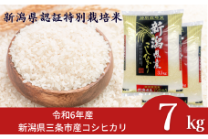 [数量限定] 令和6年産 新潟県認証特別栽培米コシヒカリ7kg(3.5×2) 新潟県三条市産コシヒカリ 精米 こしひかり [外山敏雄商店]【021S076】