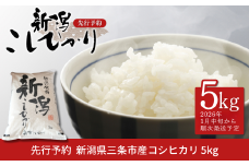 先行予約 コシヒカリ 5kg 新潟県産 [2026年1月中旬から順次発送予定] 令和7年産 2025年産 こしひかり 令和7年度 [小林農園]  【014S147】