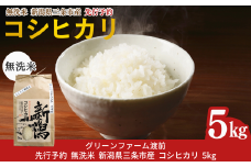 先行予約 新潟県三条市産 コシヒカリ 無洗米 5kg [グリーンファーム渡前] 令和7年産 2025年産 こしひかり 令和7年度 【017S142】