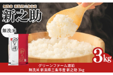 先行予約 新潟県三条市産 新之助 無洗米 3kg [グリーンファーム渡前] 令和7年産 2025年産 しんのすけ 令和7年度 【012S145】