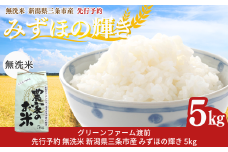 先行予約 新潟県三条市産 みずほの輝き 無洗米 5kg [グリーンファーム渡前] 令和7年産 2025年産 みずほのかがやき 令和7年度 【015S180】