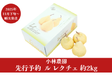 先行予約 ル レクチェ 約2kg [11月下旬から発送予定]  令和7年度 4～7玉 幻の西洋梨 ル・レクチェ 洋梨の貴婦人 新潟県産 洋梨 [小林農園] 【011P008】