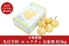 先行予約 ル レクチェ 自家用 約3kg [11月下旬から発送予定] 令和7年度 7～12玉 幻の西洋梨 ル・レクチェ 洋梨の貴婦人 新潟県産 洋梨 [小林農園] 【010P076】