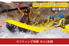 五十嵐川ラフティング（大人） チケット アウトドア 体験 川下り 自然 レジャー ウォータースポーツ アクティビティ [IRC] 【030S077】