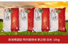 【先行予約】特別栽培米 新之助 10kg 白米 新潟県三条市産 しんのすけ 令和７年産 [佐藤農産有機センター]【018P072】