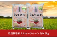 【先行予約】特別栽培米 ミルキークイーン 白米 5kg 新潟県産 令和7年産 [佐藤農産有機センター]【010S224】