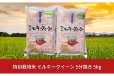  【先行予約】特別栽培米 ミルキークイーン 5分搗き 5kg 新潟県産 令和7年産 [佐藤農産有機センター]【010S225】