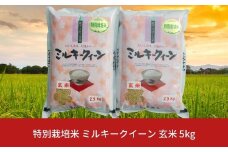 特別栽培米 ミルキークイーン 玄米 5kg 新潟県産 令和7年産 [佐藤農産有機センター]【010S226】