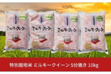 【先行予約】特別栽培米 ミルキークイーン 5分搗き 10kg 新潟県産 令和7年産 [佐藤農産有機センター]【018S020】