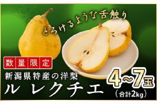 先行予約 ル レクチェ 贈答用 2kg  [2025年11月下旬発送] 新潟県産 洋梨 ル レクチエ ル・レクチェ [岩福農園] 【010P025】