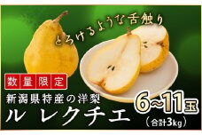先行予約 ル レクチェ 自家用 3kg 訳あり [2025年11月下旬発送]新潟県産 洋梨 ル レクチエ ル・レクチェ [岩福農園] 【010P026】