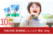 新潟県産 こしいぶき 10kg 令和6年産 米 [株式会社白熊]【011S037】