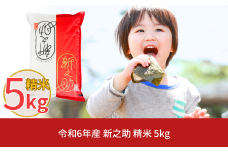 新潟県産 新之助 5kg しんのすけ 令和6年産 [株式会社白熊]【010S370】