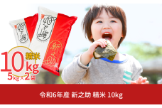 新潟県産 新之助 10kg しんのすけ 令和6年産 [株式会社白熊]【018S042】