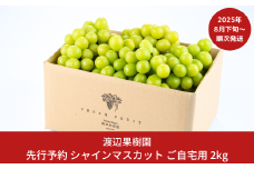 先行予約 シャインマスカット ご自宅用 2kg [8月下旬から発送予定] 令和7年度 自家用 新潟県 三条市産 ぶどう [渡辺果樹園] 【027S040】
