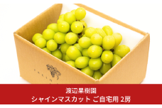 シャインマスカット ご自宅用 2kg 令和7年度 自家用 新潟県 三条市産 ぶどう [渡辺果樹園] 【027S040】