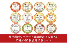 果樹園のジェラート夏季限定（12個入） [12種×各1個] 合計12個セット ジェラート詰合せ アイス詰合せ [田沢農園] 【017S034】