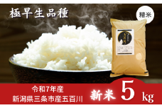  新米 [極早生] 新潟県三条市産五百川 5kg 令和７年産 精米 [外山敏雄商店]【015S191】