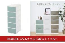 NEWLIFE スリム5段 ミントブルー 収納ケース 衣装ケース プラスチック 新生活 引っ越し 大容量 引き出し プラスチック 収納棚 おしゃれ 押入れ 押し入れ収納 リビング収納 10000円以下 1万円以下 【010S627】