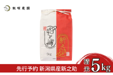 先行予約 新潟県産新之助5kg 令和7年産 新之助 2025年産 新之助 白米 食味検査で高評価 [飯塚農園]  【014S157】