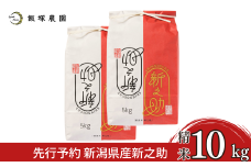 先行予約 新潟県産新之助10kg 令和7年産 新之助 2025年産 新之助 白米 食味検査で高評価 [飯塚農園]  【028S046】