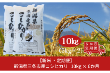 先行予約 コシヒカリ定期便10kg(5kg×2袋)×6回 新潟県 三条市 下田産 こしひかり 10kg 精米 白米 【120S004】