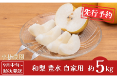 先行予約 和梨 豊水 自家用 約5kg [9月中旬から発送予定] 令和7年度 新潟県 三条市産 梨 [小林農園]【010P072】