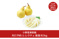 先行予約 ル レクチェ 厳選 約3kg(6～9個)  ル・レクチェ  新潟県産 洋梨 [小野里果樹園] 【016S034】