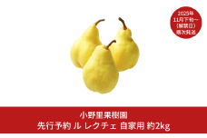 先行予約 ル レクチェ 自家用 約2kg(5～7個) ル・レクチェ  新潟県産 洋梨 [小野里果樹園] 【010S392】